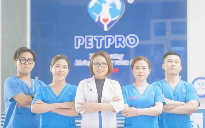 Top 10 Dịch Vụ Chăm Sóc Thú Cưng Uy Tín Nhất Tại TPHCM 2025 6 dịch vụ chăm sóc thú cưng