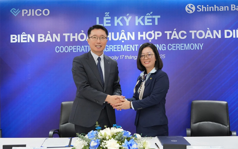 Top 10 Công Ty Bảo Hiểm Phi Nhân Thọ Uy Tín Năm 2025 5 công ty bảo hiểm phi nhân thọ