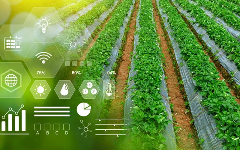 Top 5 Ứng Dụng Công Nghệ Nông Nghiệp (AgriTech) Đang Thịnh Hành Tại Việt Nam 2 ứng dụng công nghệ nông nghiệp
