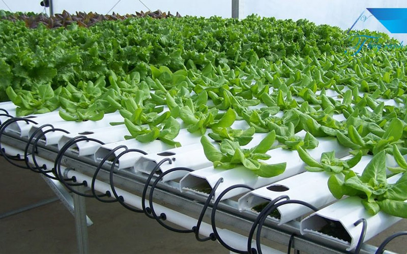 Top 5 Ứng Dụng Công Nghệ Nông Nghiệp (AgriTech) Đang Thịnh Hành Tại Việt Nam 4 ứng dụng công nghệ nông nghiệp