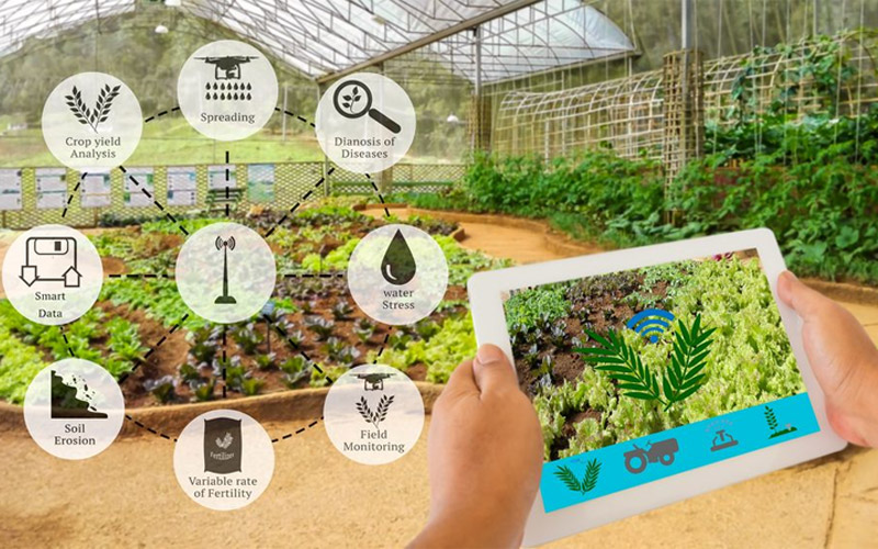 Top 5 Ứng Dụng Công Nghệ Nông Nghiệp (AgriTech) Đang Thịnh Hành Tại Việt Nam 5 ứng dụng công nghệ nông nghiệp