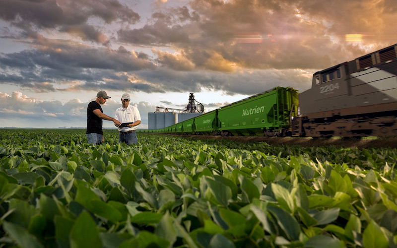 sản xuất hóa chất và phân bón
