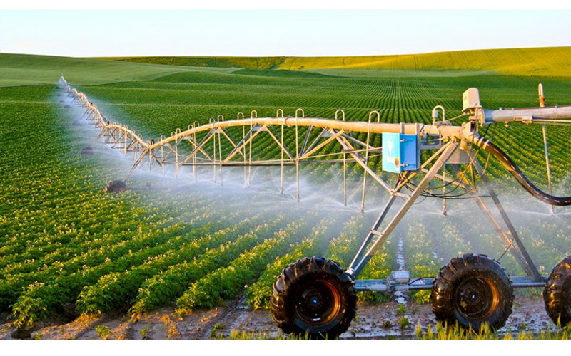 sản xuất hóa chất và phân bón