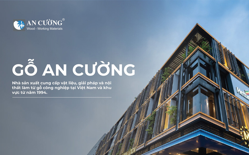 Top 10 Công Ty Sản Xuất Sản Phẩm Gỗ Tại Việt Nam 3 sản xuất sản phẩm gỗ