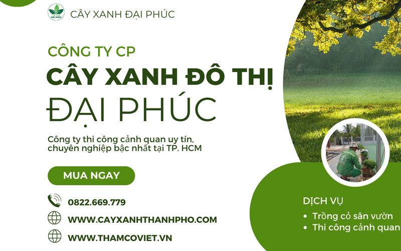 Top 7+ Công Ty Cây Xanh Đáng Tin Cậy Tại TPHCM 2 công ty cây xanh