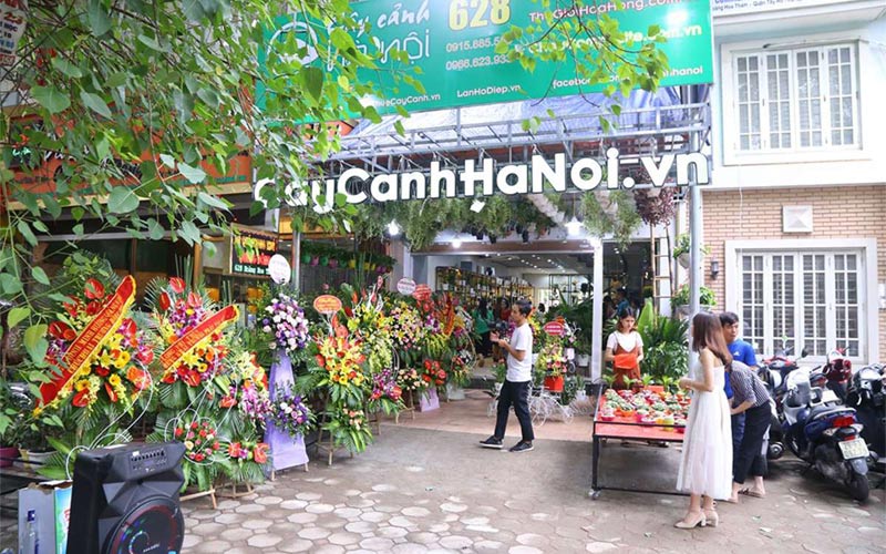 Top 7+ Công Ty Cây Xanh Nổi Tiếng Nhất Hà Nội 1 công ty cây xanh