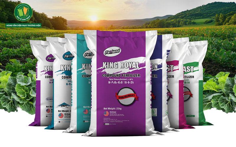 Top 5 Công Ty Sản Xuất Giấy Và Bao Bì Chất Lượng Tại TP.HCM 4 công ty sản xuất giấy và bao bì