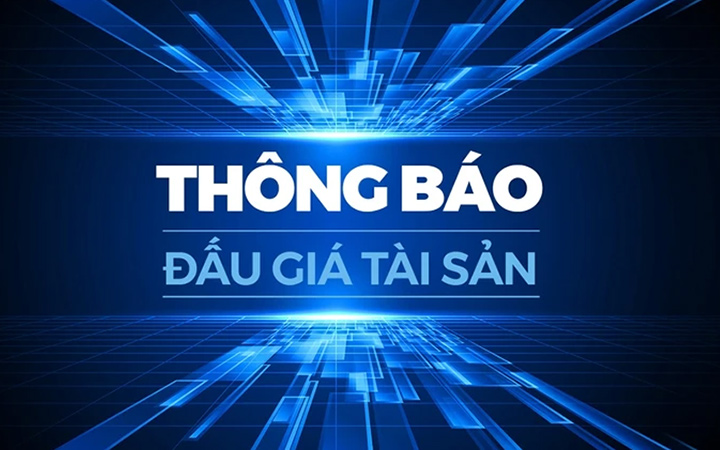dịch vụ đấu giá bất động sản