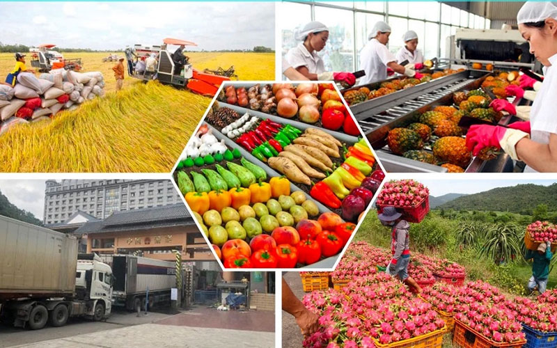 Top 10+ Công Ty Sản Xuất Sản Phẩm Nông Nghiệp Chế Biến Việt Nam 1 sản xuất sản phẩm nông nghiệp chế biến