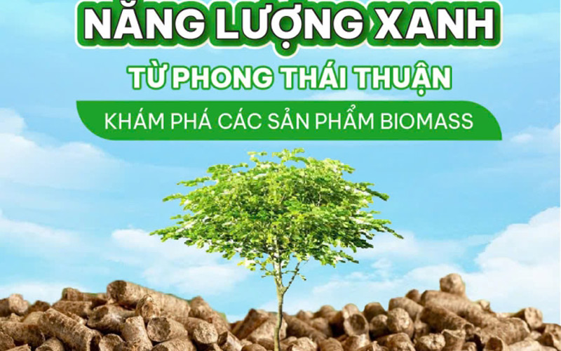 Top 10 Công Ty Sản Xuất Viên Nén Gỗ 3 sản xuất viên nén gỗ