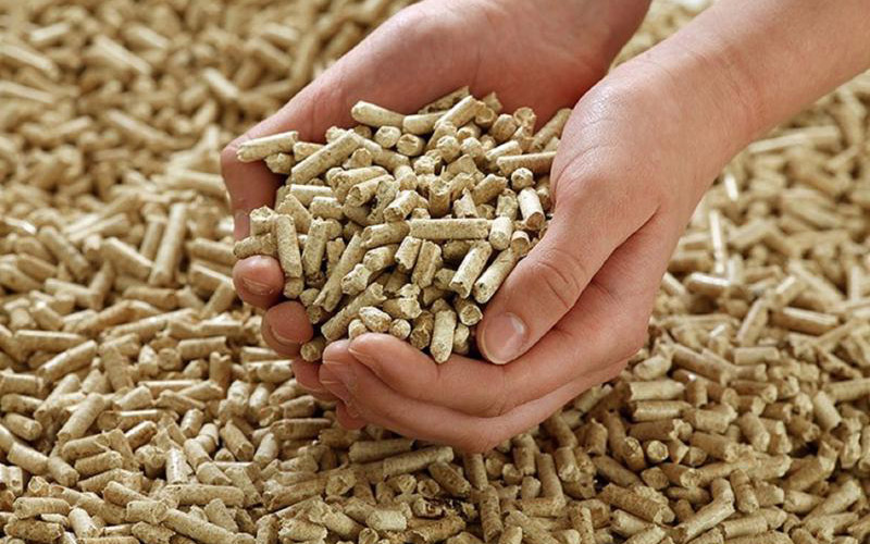 Top 10 Công Ty Sản Xuất Viên Nén Gỗ 5 sản xuất viên nén gỗ